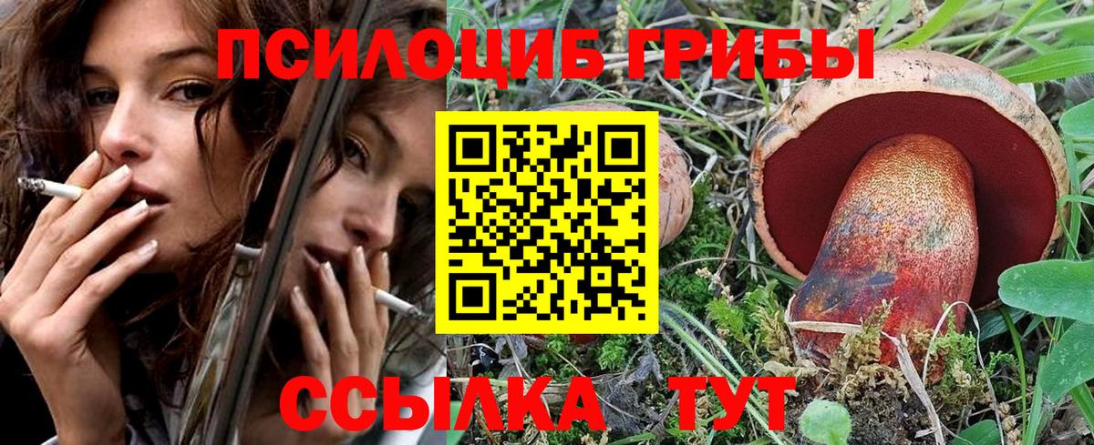 Пенза  Псилоцибиновые грибы прущие грибы  Галлюциногенные грибы мухоморы  Вход с VPN 